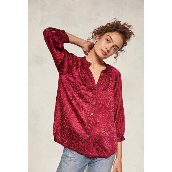 NEW Anthropologie Susanna Velvet Burnout Semi-Sheer Buttondown Blouse X-Small - Picture 1 of 3